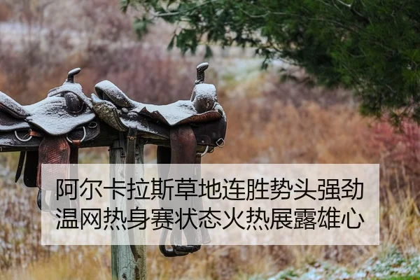 a-er-ka-la-si-cao-di-lian-sheng-shi-tou-qiang-jing-wen-wang-re-shen-sai-zhuang-tai-huo-re-zhan-lu-xiong-xin-2-541.jpg