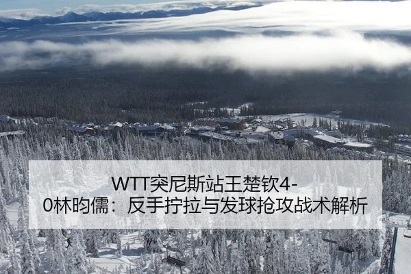 WTT突尼斯站王楚钦4-0林昀儒：反手拧拉与发球抢攻战术解析